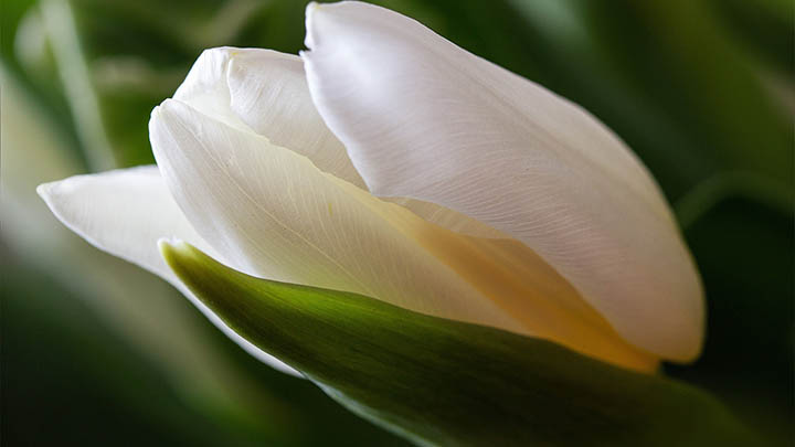 连云港自驾游攻略：畅享海鲜盛宴与美景相伴